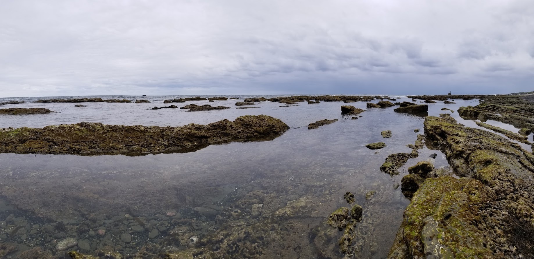 20190429_海岸.jpg