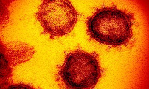 20210115_coronavirus.jpg